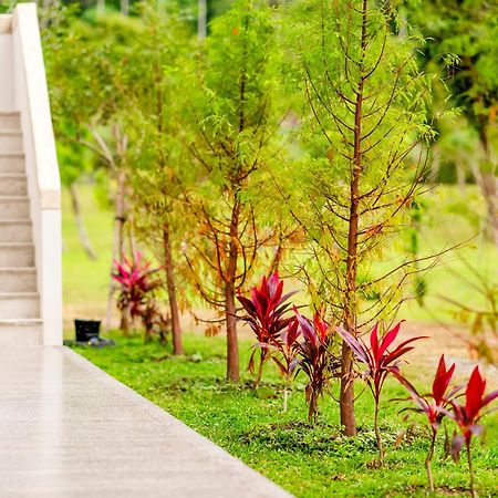 Dream Field Apartment Luye Luaran gambar
