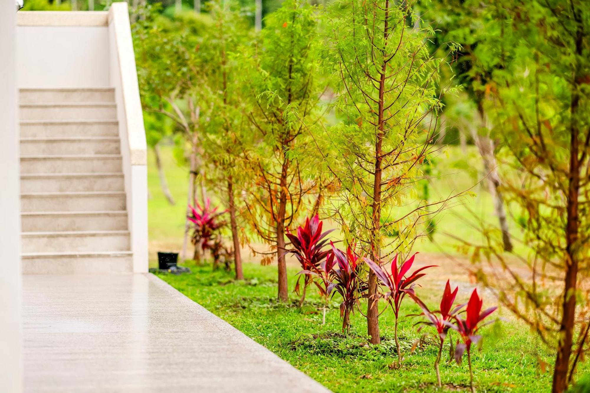 Dream Field Apartment Luye Luaran gambar