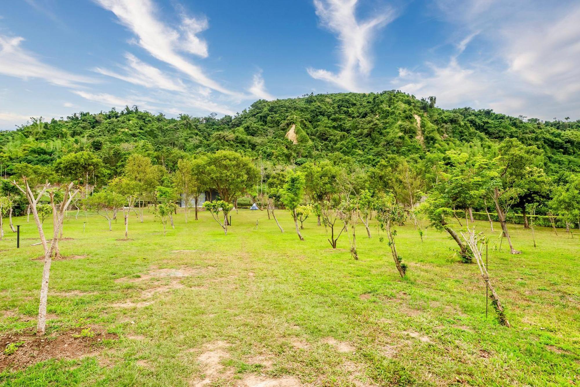 Dream Field Apartment Luye Luaran gambar