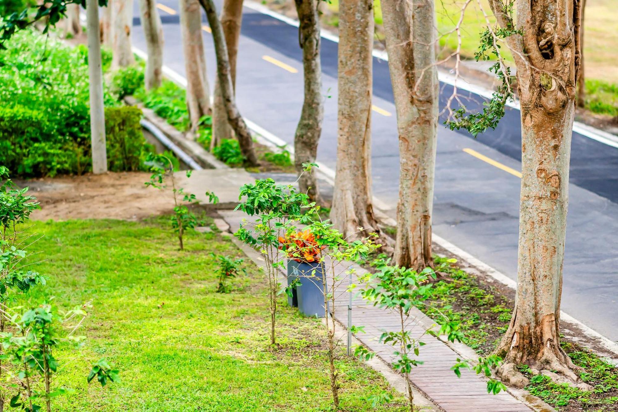 Dream Field Apartment Luye Luaran gambar