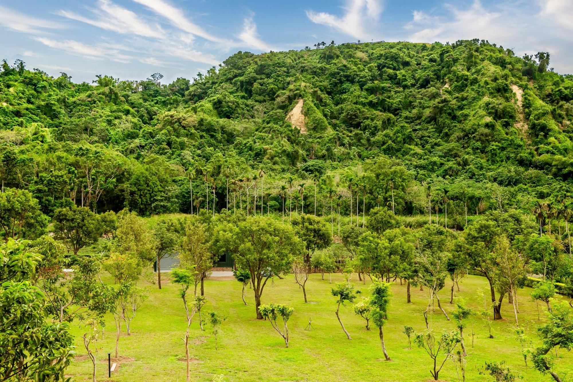 Dream Field Apartment Luye Luaran gambar