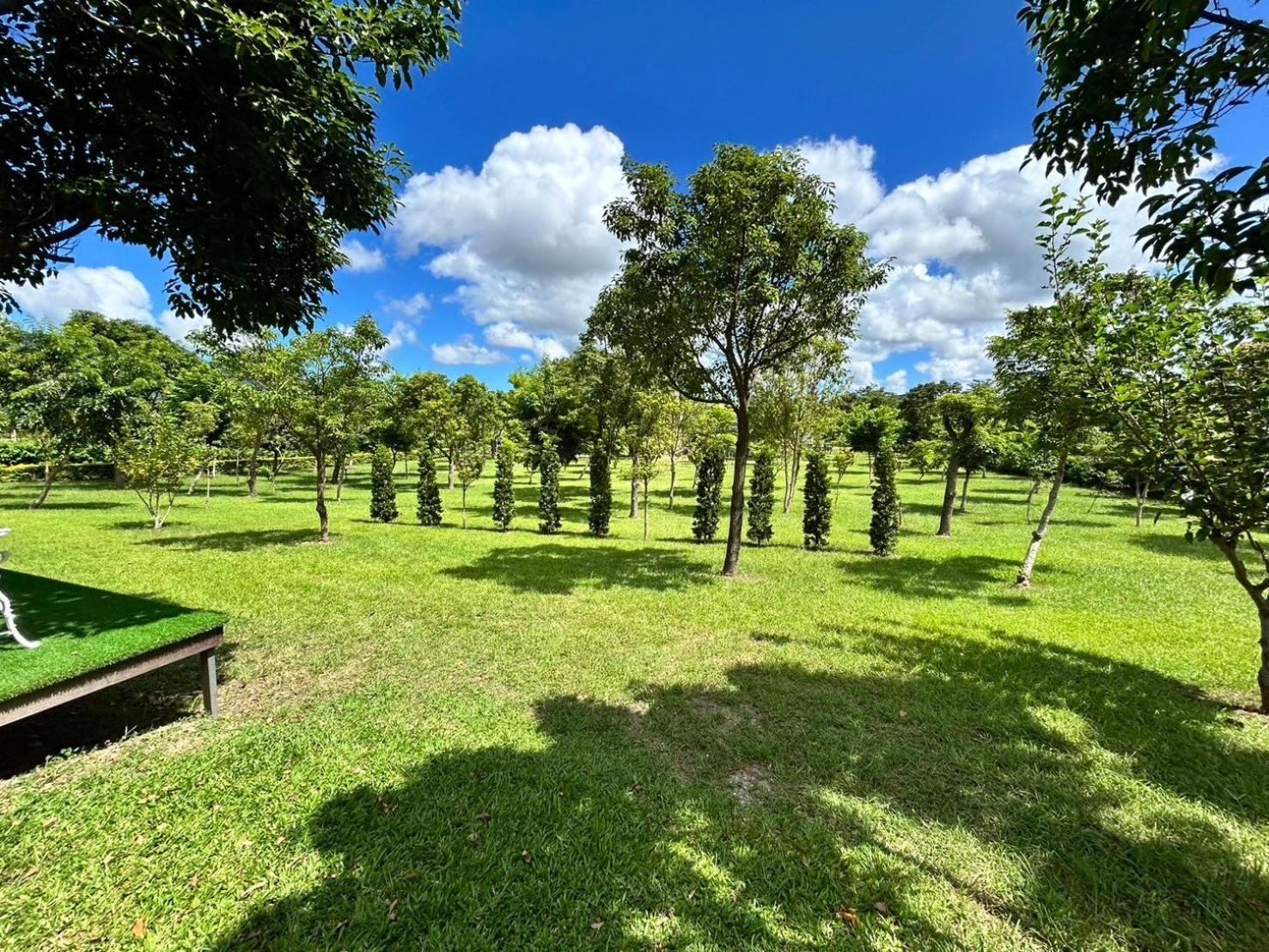 Dream Field Apartment Luye Luaran gambar